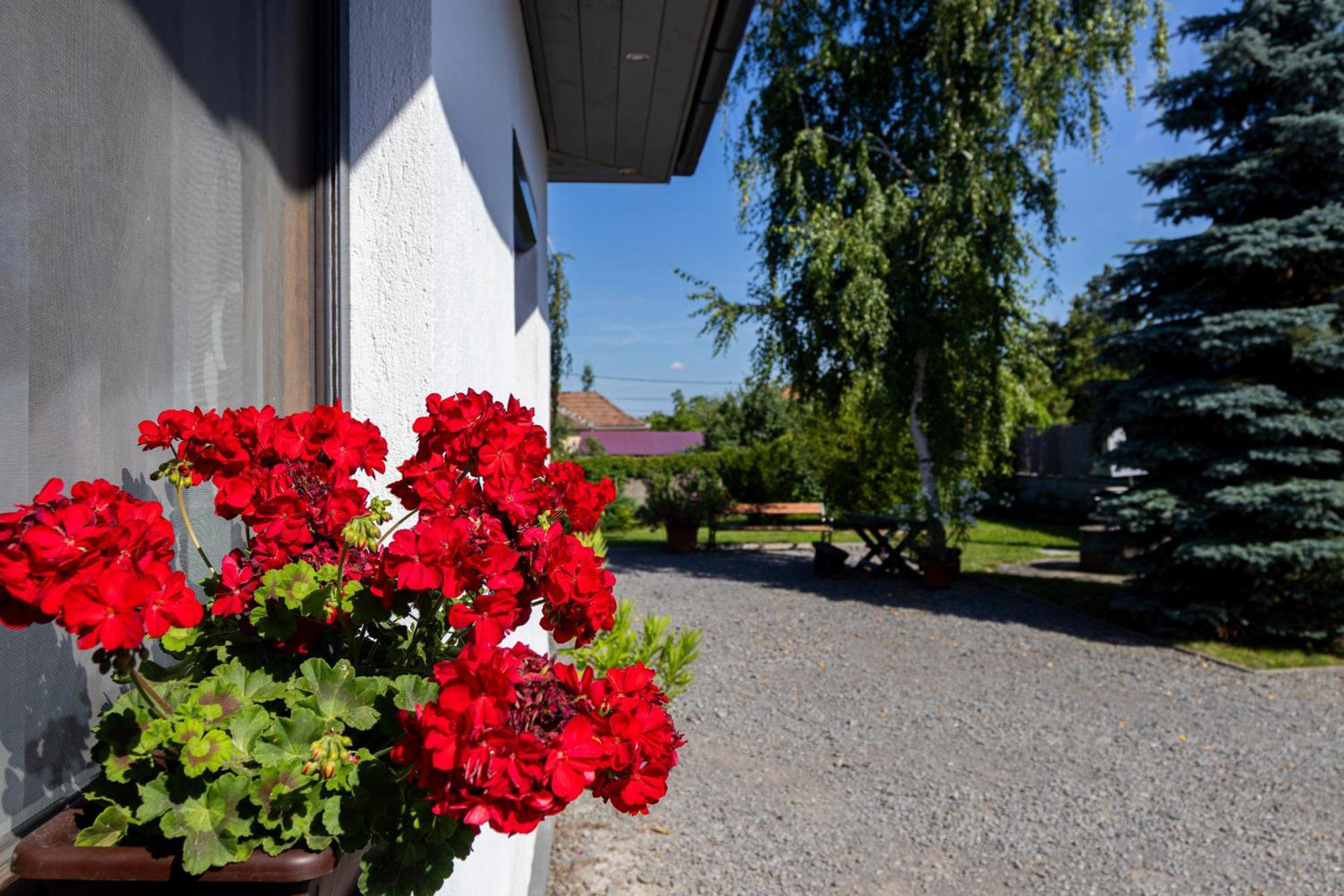 Apartmán Kincso Vendeghaz Sárospatak Exteriér fotografie